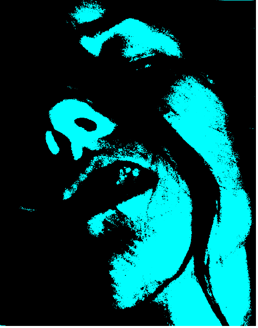 Cover image for salt