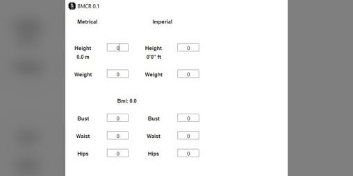 Cover image for BMCR Body Measurement Calculator and Recorder