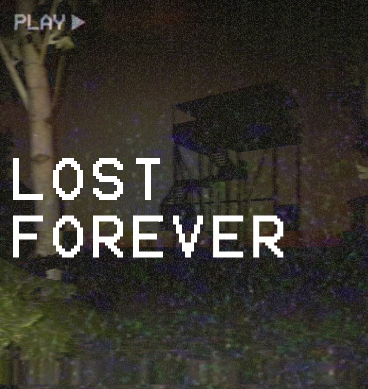Cover image for LOST FOREVER