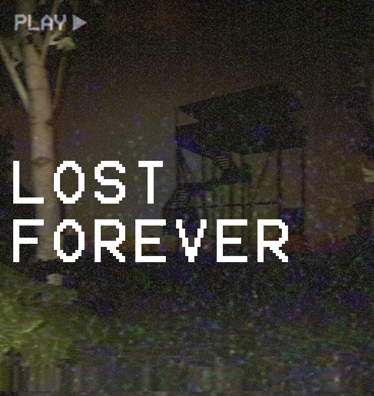 LOST FOREVER