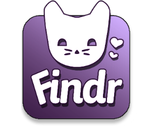 Cover image for Findr the Game
