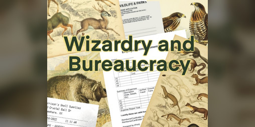 Cover image for Wizardry and Bureaucracy