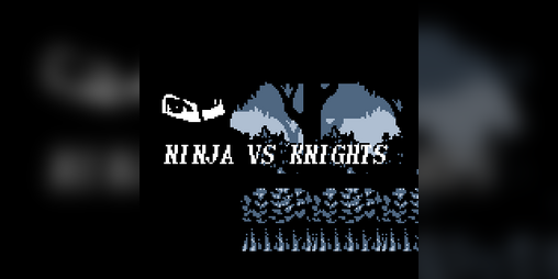 Cover image for Ninja vs Knights