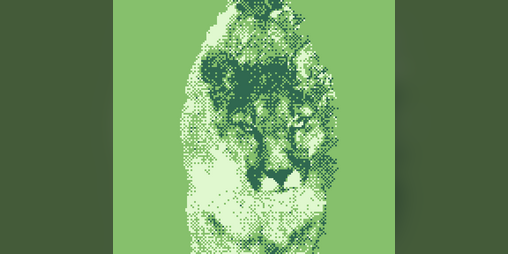 Cover image for Lion's Porno Party