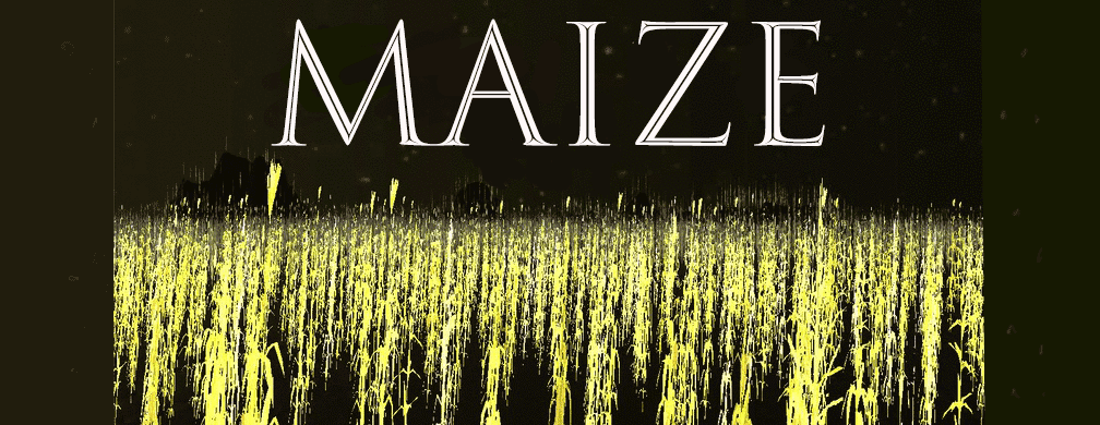 Maize