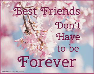 Best Friends Don't Have to be Forever  