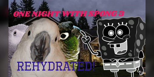 Cover image for One Night with Spong 3: Rehydrated!