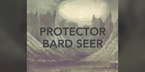 Cover image for Protector Bard Seer