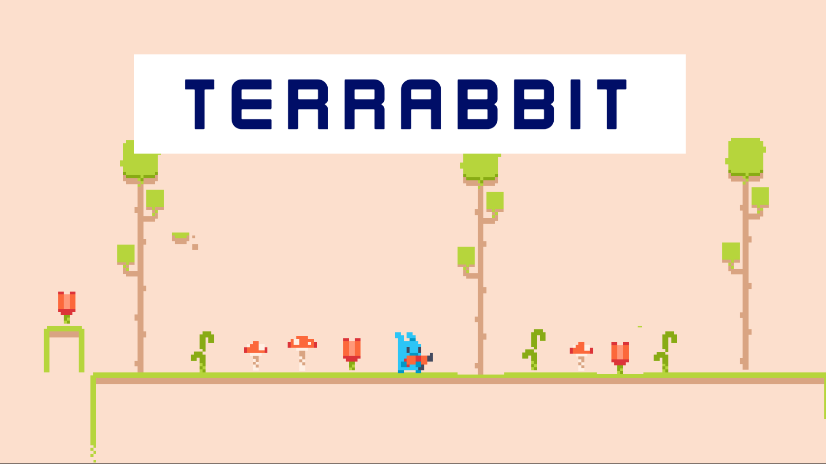 Cover image for Terrabbit