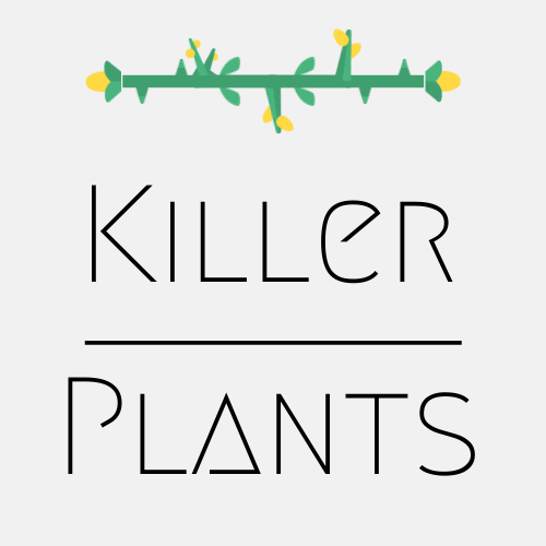 Killer Plants by rwiseman