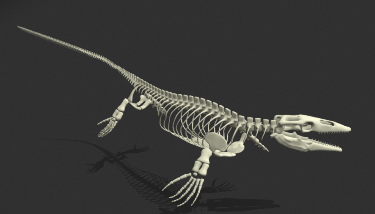 Tylosaurus skeleton model by Holden Williams