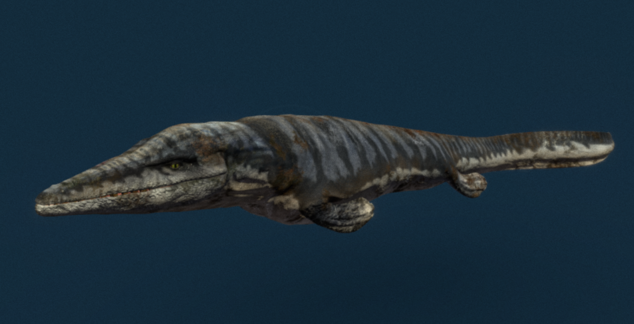 Tylosaurus model by Julian Johnson-Mortimer