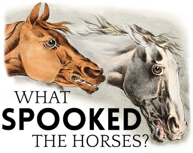 Cover image for What Spooked the Horses?