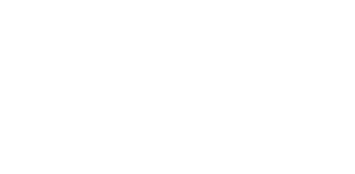 Dodge Spree X
