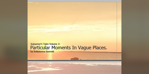 Cover image for Particular Moments In Vague Places