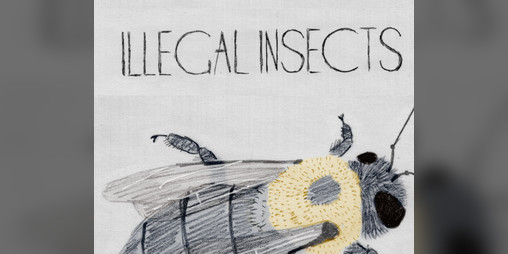 Cover image for Illegal Insects