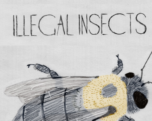 Cover image for Illegal Insects