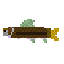 Cover image for fish!