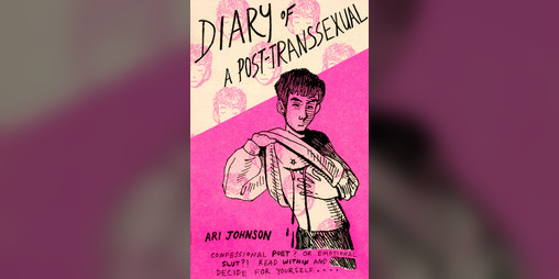 Cover image for Diary of a Post-Transsexual