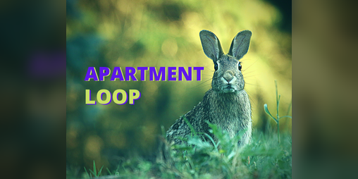 Cover image for Apartment Loop