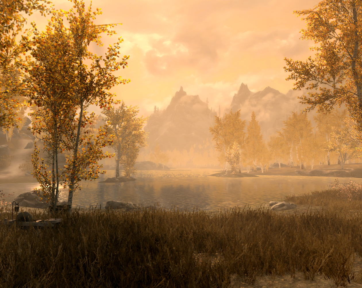 Cover image for Meyni