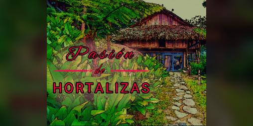 Cover image for PASIÓN DE HORTALIZAS
