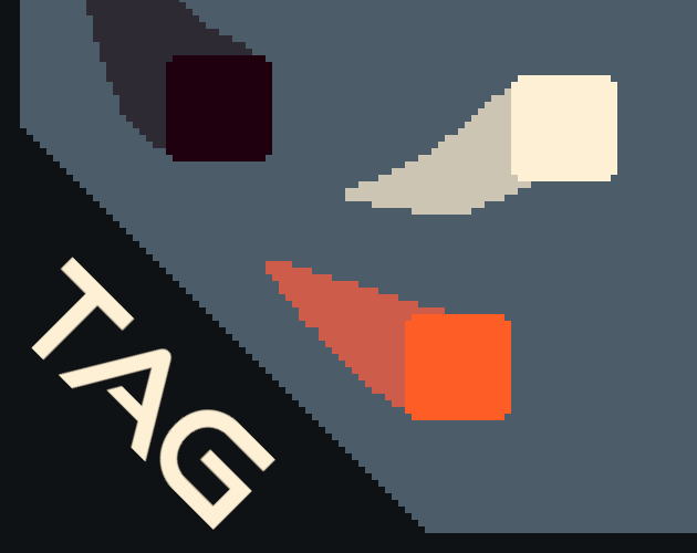 Cover image for Tag