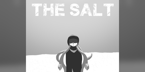 Cover image for The Salt