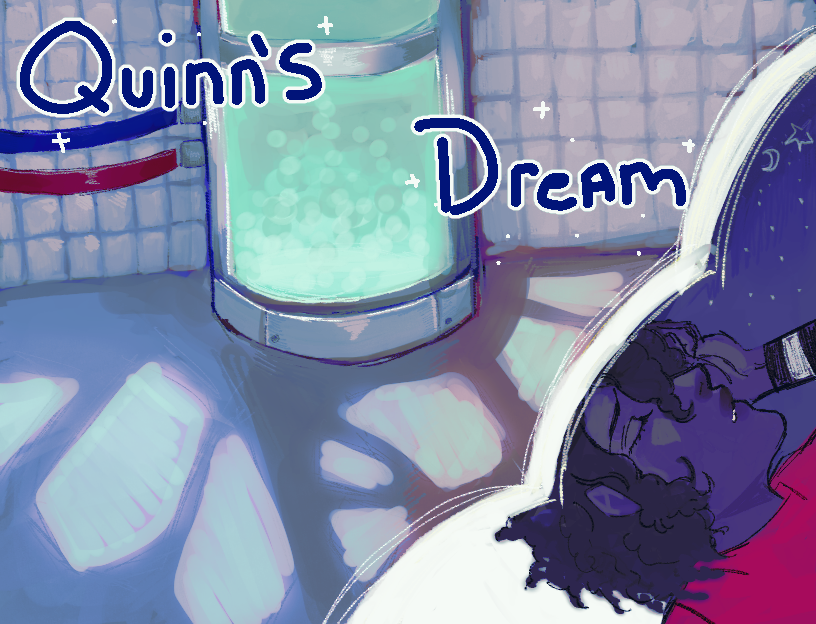 Cover image for Quinn's Dream