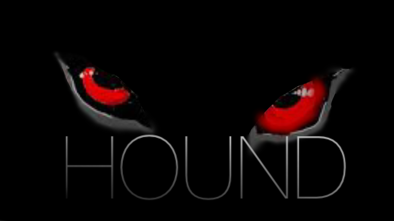 Cover image for Hound