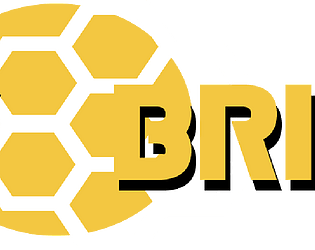 Buzz Brigade