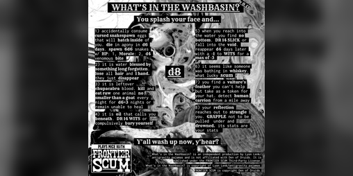 Cover image for What's in the Washbasin?