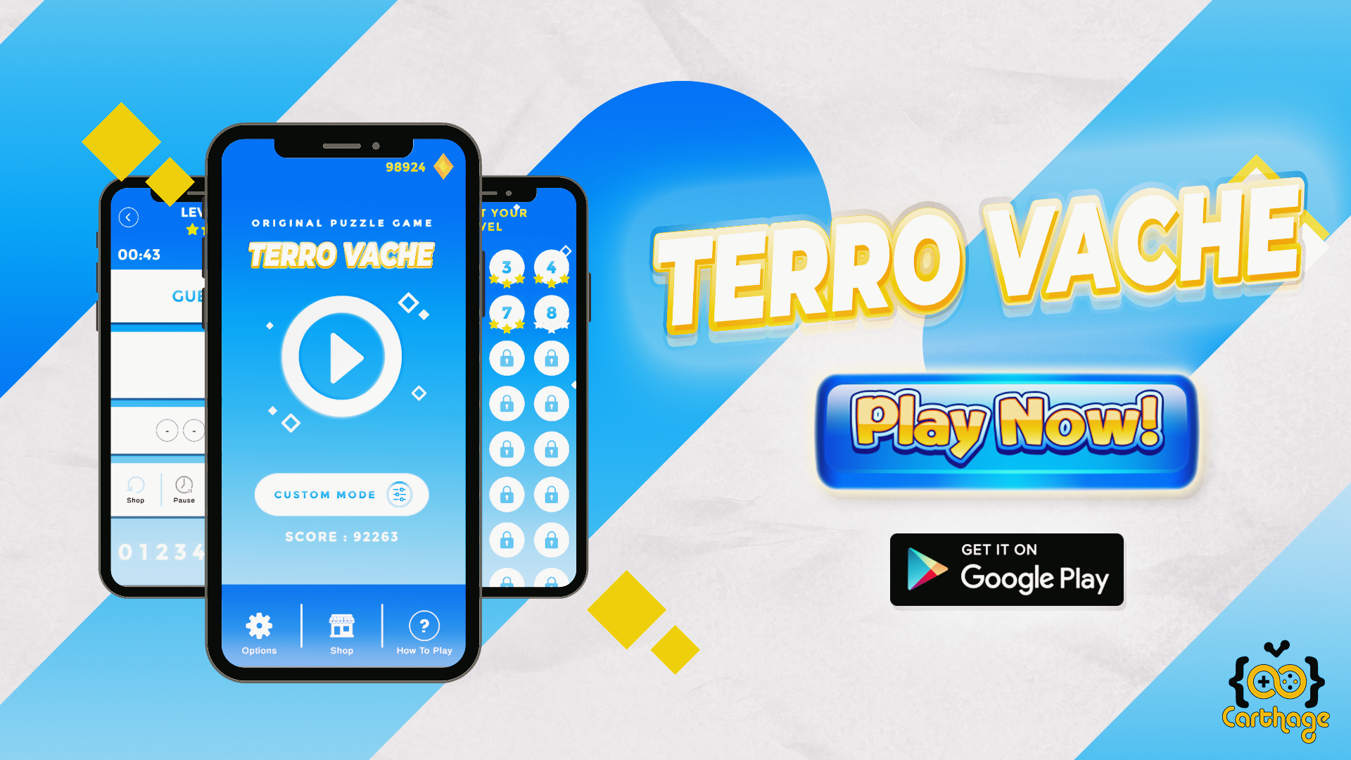 Terro Vache : Number Guess Puzzle Game