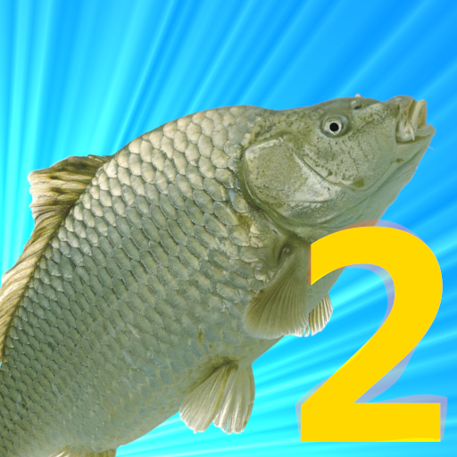 Flipper 2