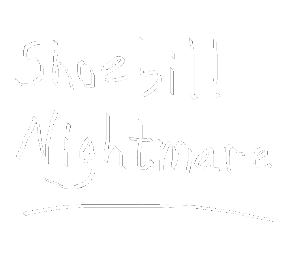 Shoebill Nightmare