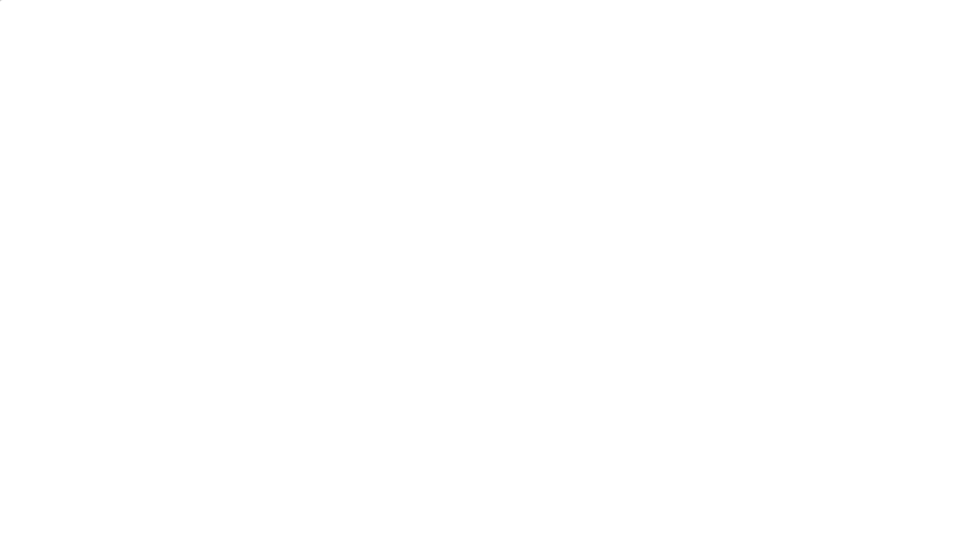 CITY DEFENDER
