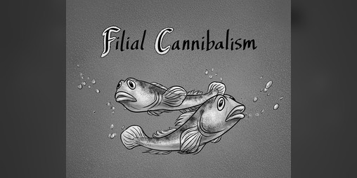 Cover image for Filial Cannibalism