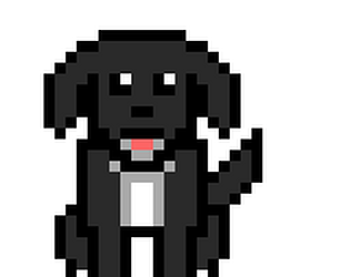 Bouncing Dog