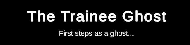 The Trainee Ghost
