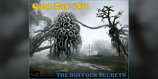 Cover image for Gold Top 1971