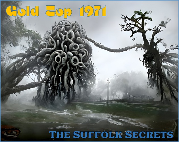 Cover image for Gold Top 1971