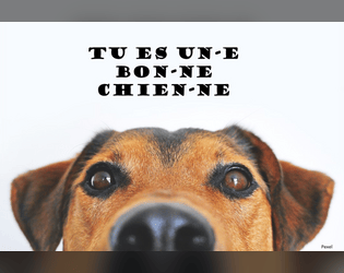 « Tu es bon chien, tu es une bonne chienne »  