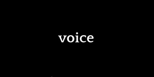 Cover image for Voice