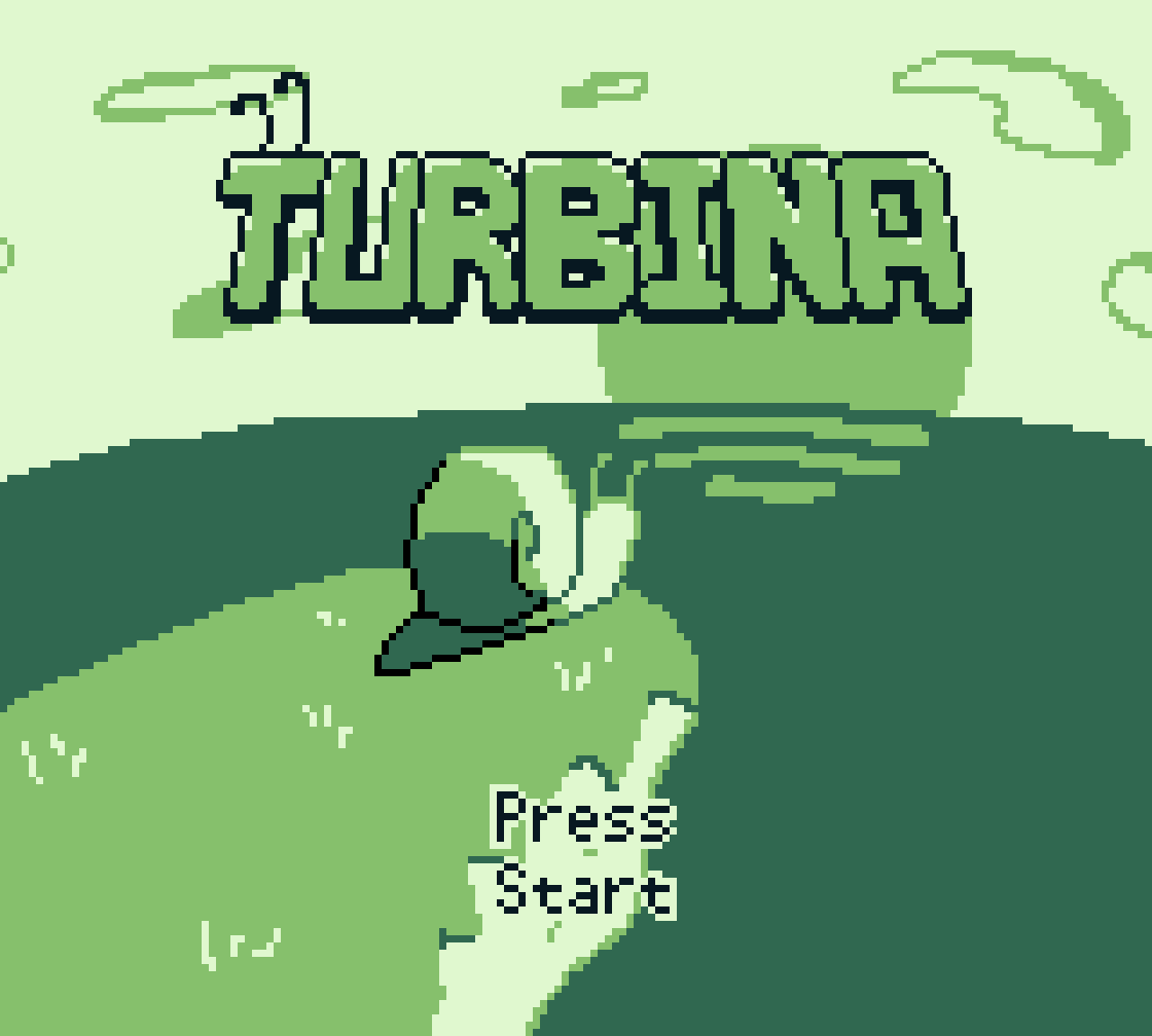 Cover image for Turbina