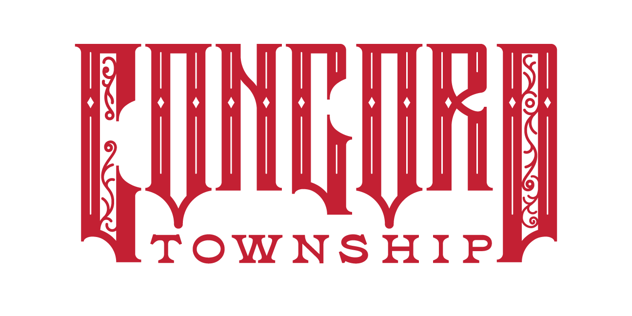 Cover image for Concord: Township