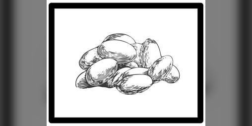 Cover image for Incubator / Incubadora