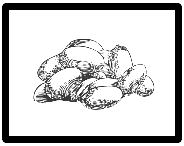 Cover image for Incubator / Incubadora