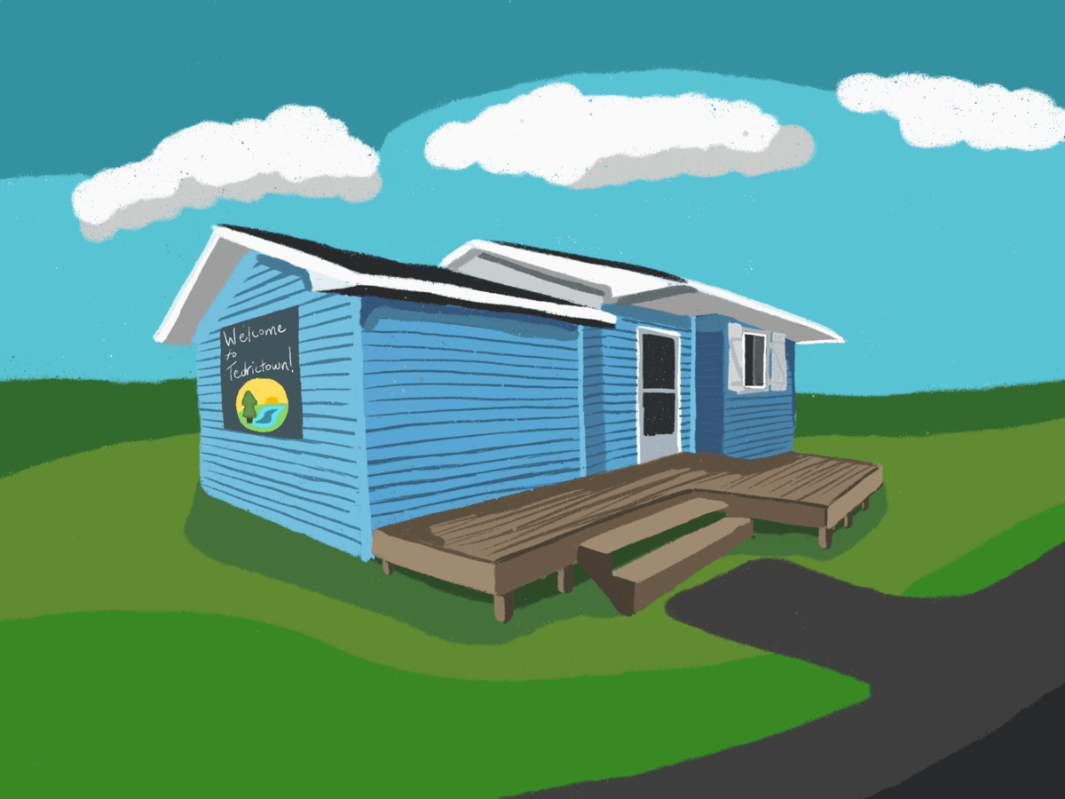 Cover image for Welcome to Tedrictown