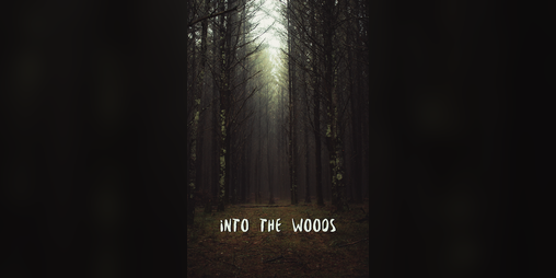 Cover image for Into the Woods