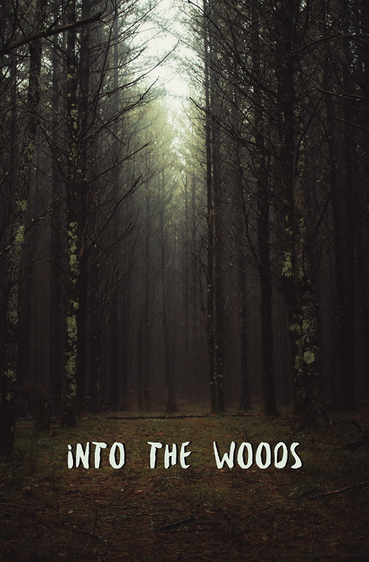 Into the woods by tallywinkle